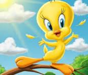 Tweety Bird in Sunlight.jpeg Tweety Bird in Sunlight.jpeg