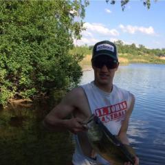 Youngblood24v