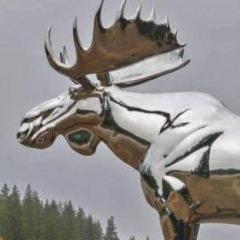 SilverMoose