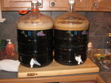 guinnessbrewer