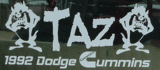 Taz